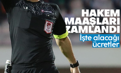 TFF'den hakem maaşlarına zam geldi