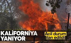 Kaliforniya’da orman yangını: Acil durum ilan edildi
