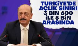 Vedat Bilgin, Türkiye'deki açlık sınırı miktarını açıkladı