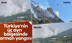 Türkiye'nin 3 ayrı bölgesinde orman yangını
