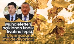 CHP'li Ahmet Kaya ve İYİ Parti'li Hüseyin Örs'ten açıklanan fındık fiyatına tepki