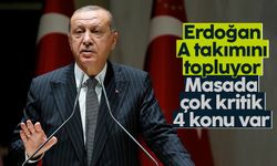 Cumhurbaşkanı Erdoğan, AK Parti MKYK'yı topluyor: Masada 4 kritik konu var