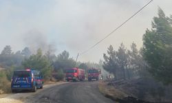 Manisa’daki orman yangını kontrol altına alındı