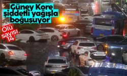 Güney Kore'de şiddetli yağış sebebiyle hayatını kaybedenlerin sayısı 14'e çıktı