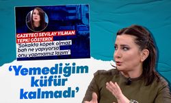 Sokak köpekleri sorununu yazan Sevilay Yılman, lince maruz kaldı