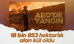 California’daki orman yangınında 18 bin 853 hektarlık alan kül oldu