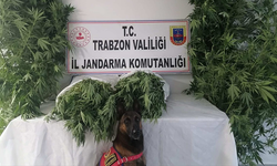 Jandarma narkotik timleri ve JASAT dedektiflerinden ortak operasyon
