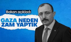 Mehmet Muş'tan doğalgaz zammı açıklaması