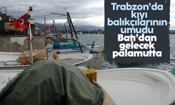Kıyı balıkçıların umudu Batı Karadeniz taraflarından gelecek olan palamutta