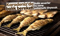 Karadeniz'de balık bereketi