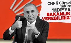 Gürsel Tekin: HDP'ye bakanlık verilebilir