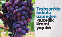 Trabzon'da kokulu üzümden güzellik kremi üretildi