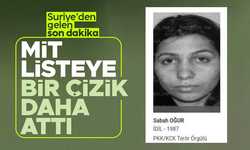 MİT’ten terör örgütü PKK'ya nokta operasyon