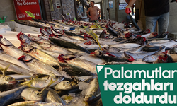 Sezonun en bereketli günü yaşandı, palamutlar tezgâhları doldurdu