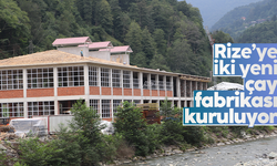 Rize'ye iki yeni çay fabrikası daha yapılıyor