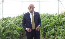 Vahit Kirişci: “Yılın ilk 8 ayında tarım ürünleri ihracatımız 21,5 milyar dolar”