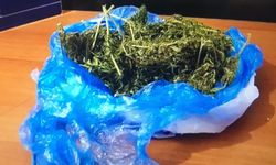 Ordu’da yağ bidonu içerisinde uyuşturucu madde ele geçirildi