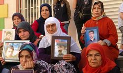 Terör örgütü PKK mağduru ailelerin evlat nöbeti 1125. gününde