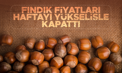 Fındık fiyatı haftayı yükselişle 47 liradan kapattı