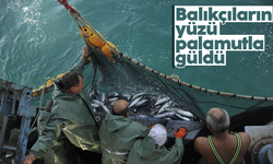 Denizlerde palamut bolluğu devam ediyor