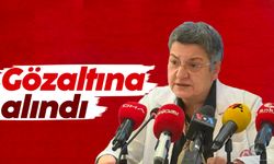 TTB Başkanı Şebnem Korur Fincancı gözaltına alındı