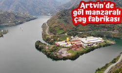 Artvin'de göl manzaralı çay fabrikası
