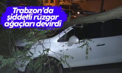 Trabzon’da şiddetli rüzgar etkili oldu