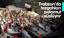 Trabzon'da balıkçılar mutlu: Palamut göçü gerçekleşti