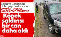 Ordu'da köpek saldırısı  bir can daha aldı