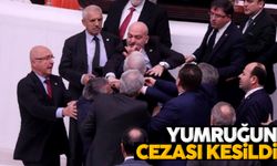 TBMM'deki yumruklu kavgaya karışan vekillere para cezası