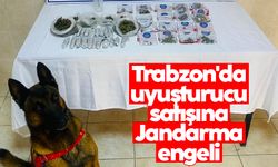 Trabzon'da uyuşturucu satışına Jandarma engeli