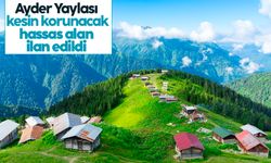Ayder Yaylası kesin korunacak hassas alan ilan edildi