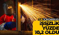 Kasım ayı işsizlik oranı yüzde 10,2 oldu