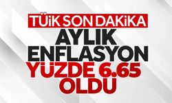 2023 ocak ayı enflasyonu açıklandı