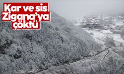 Zigana Dağı'nda kar ve sis etkisini gösterdi