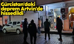 Gürcistan'daki deprem Artvin'de hissedildi