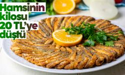 Balık fiyatları düştü! Hamsinin kilosu 20 TL