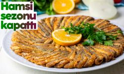 Hamsi sezonu kapattı, vatandaş istavrit ve mezgite yöneldi