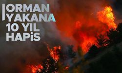 Orman yangınlarına neden olanlara 10 yıla kadar hapis cezası