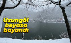 Uzungöl beyaza boyandı