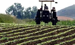 Tarım ve gıda sektörü için önemli gelişme: Sözleşmeli üretim yapılacak