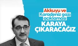 Bakan Dönmez'den Akkuyu ve Karadeniz gazı açıklaması 'Karaya çıkaracağız'