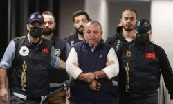 Tosuncuk'un "kara kutusu" Türkiye'ye iade edildi