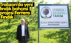 Trabzon'da yeni fındık bahçesi projesi Ferrero Fındık