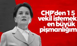 Meral Akşener: CHP'den 15 vekil istemek en büyük pişmanlığım