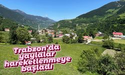 Trabzon'da yaylalar hareketlenmeye başladı