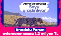 Anadolu Parsı avlamanın cezası 1,2 milyon TL