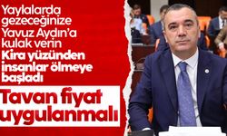 İYİ Parti Trabzon Milletvekili Aydın: 'Tavan fiyat uygulaması getirilmelidir'