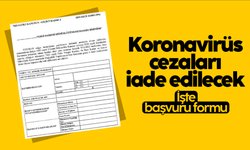 Koronavirüs cezalarının iadesiyle ilgili başvuru formu Resmi Gazete'de