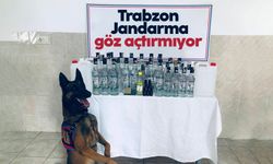 Trabzon jandarma göz açtırmıyor